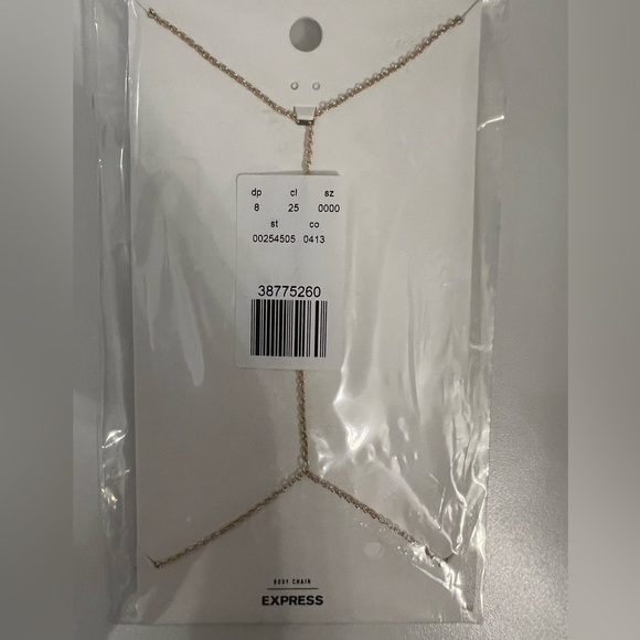 Body chains - Picture 6 of 8